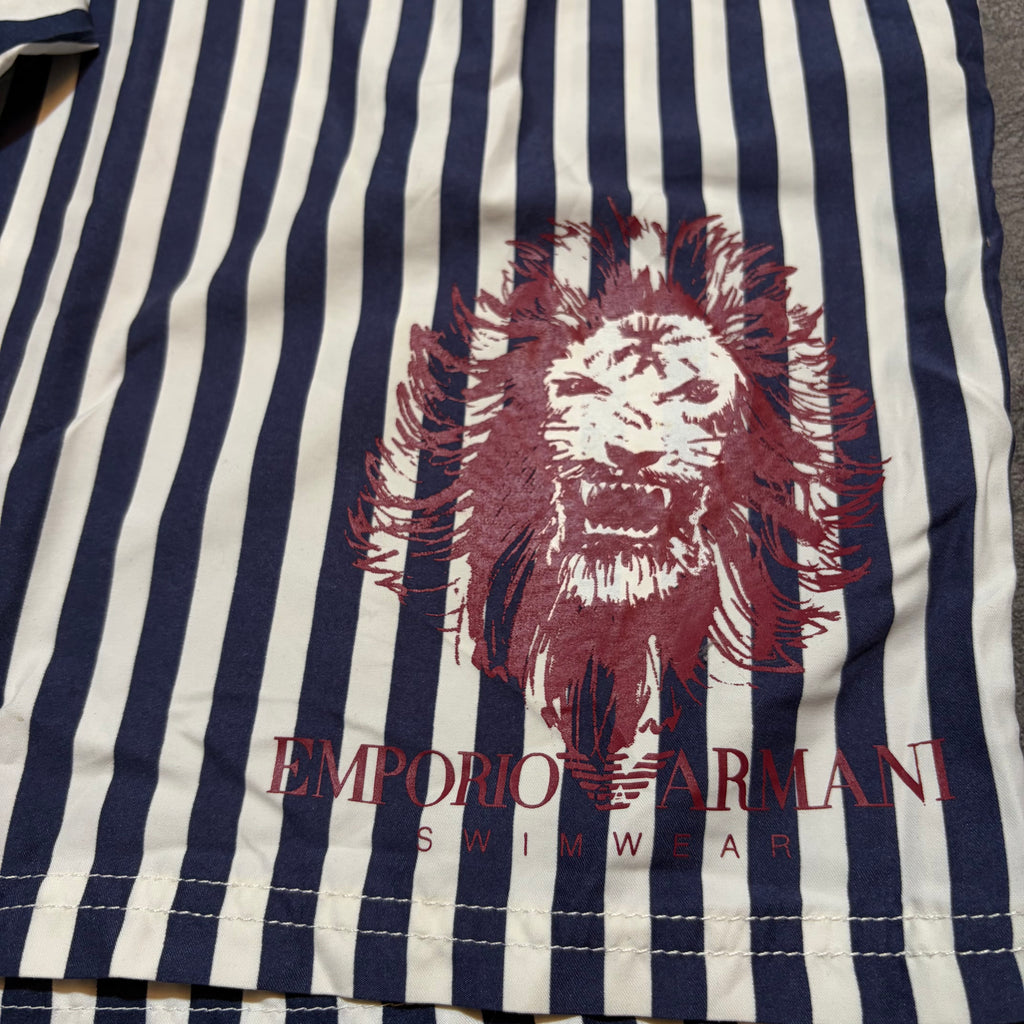 Emporio Armani Striped Y2K Swimsuit