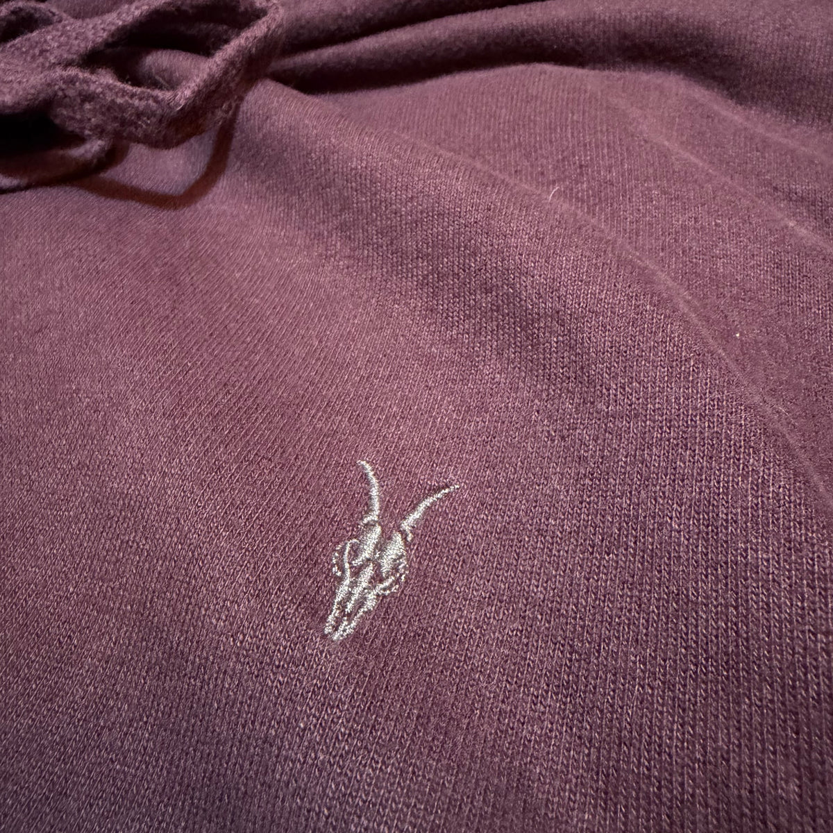 Allsaints Logo Heavyweight Hoodie