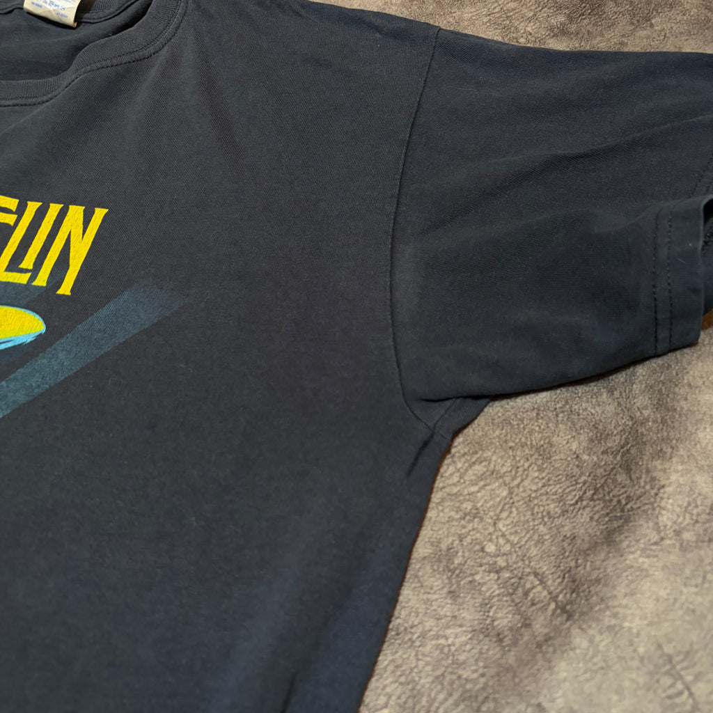 Led Zeppelin Celebration Day Tee