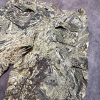Mossy Oak Y2k Camo Baggy Cargo Shorts