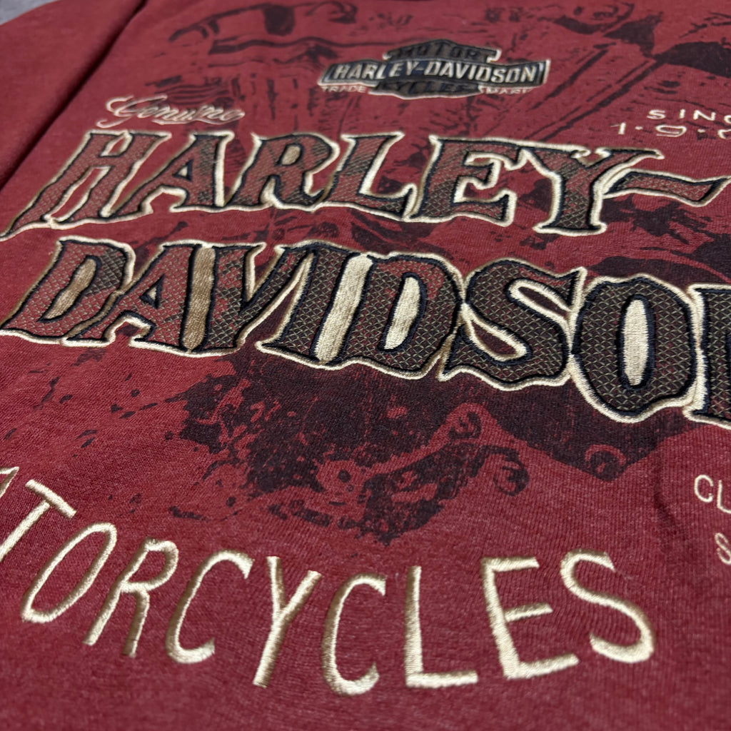 Harley Davidson Y2K ZipUp Hoodie