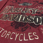 Harley Davidson Y2K ZipUp Hoodie