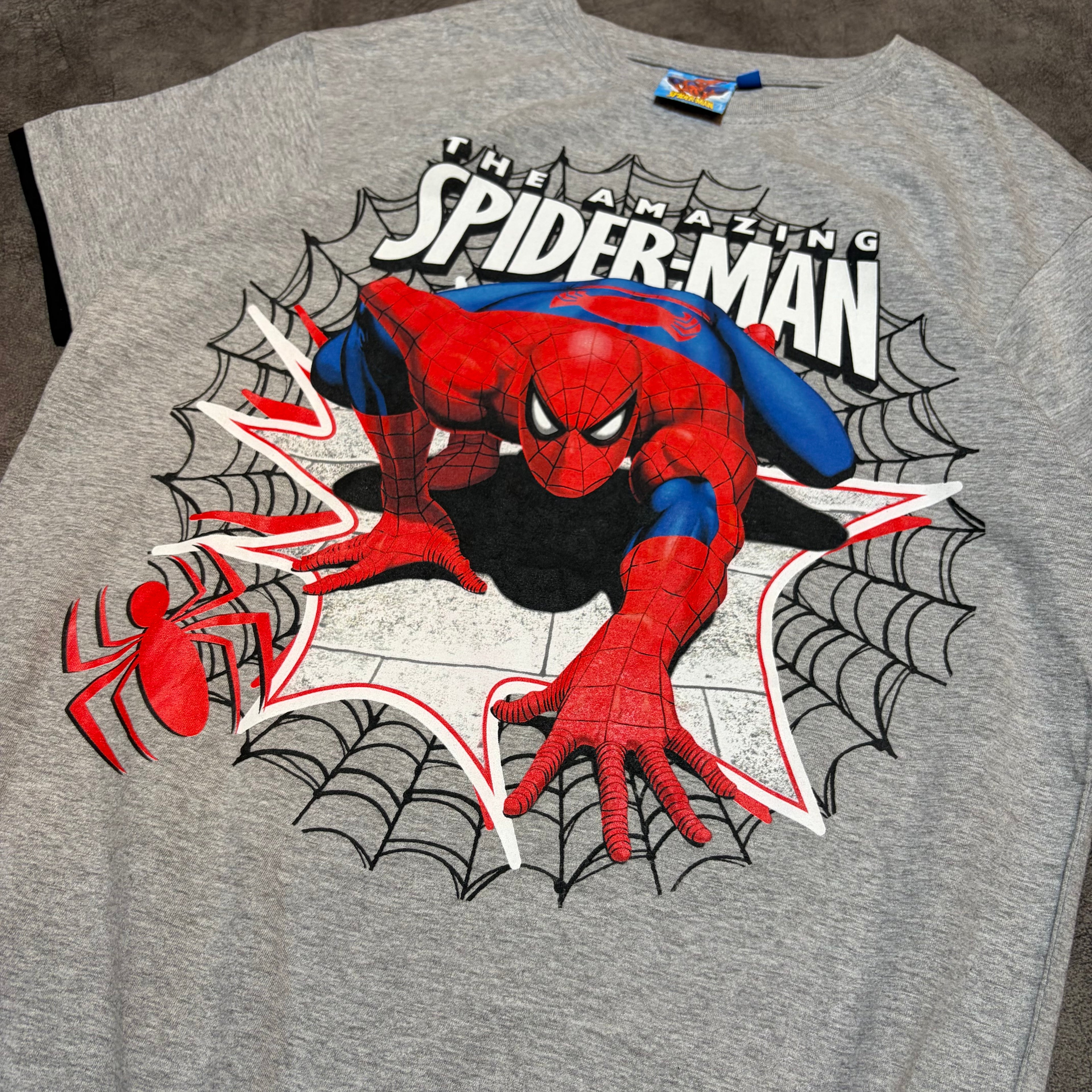 The Amazing Spiderman 2010 Merch Graphic Tee