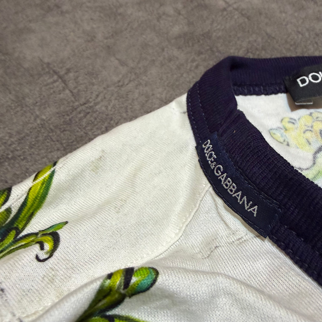 Dolce & Gabbana Sicilian Print Tee