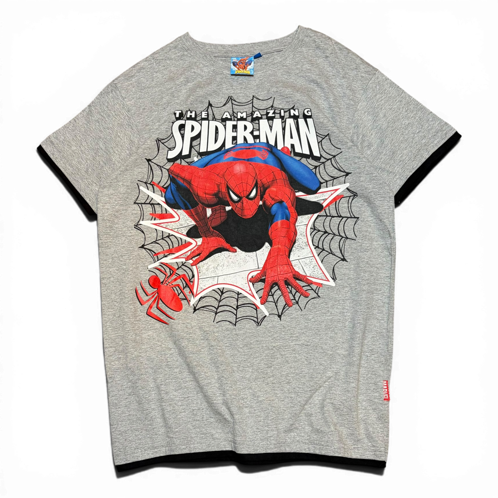 The Amazing Spiderman 2010 Merch Graphic Tee