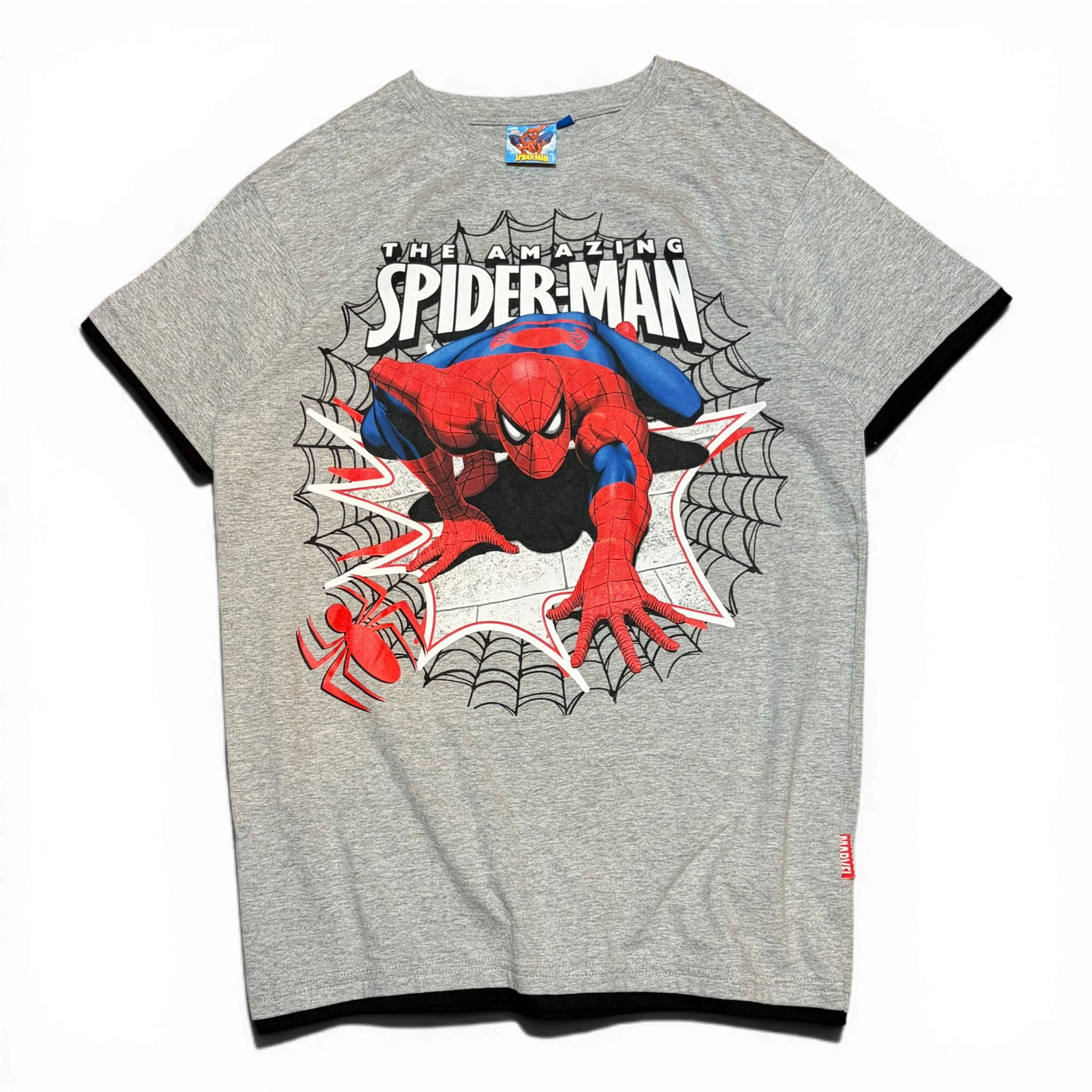 The Amazing Spiderman 2010 Merch Graphic Tee